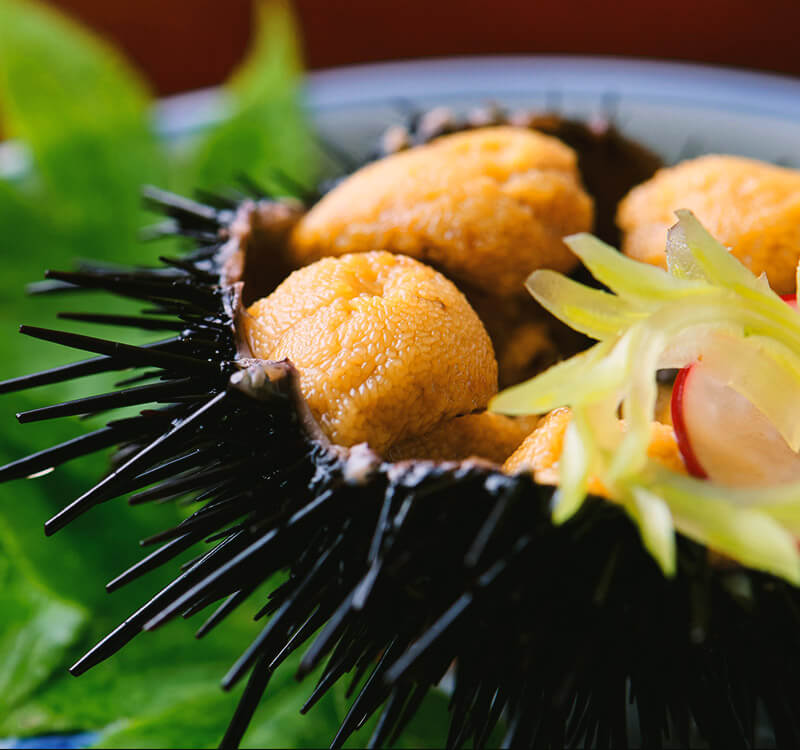 料理